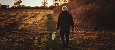 Person walking their dog through a field at sunrise