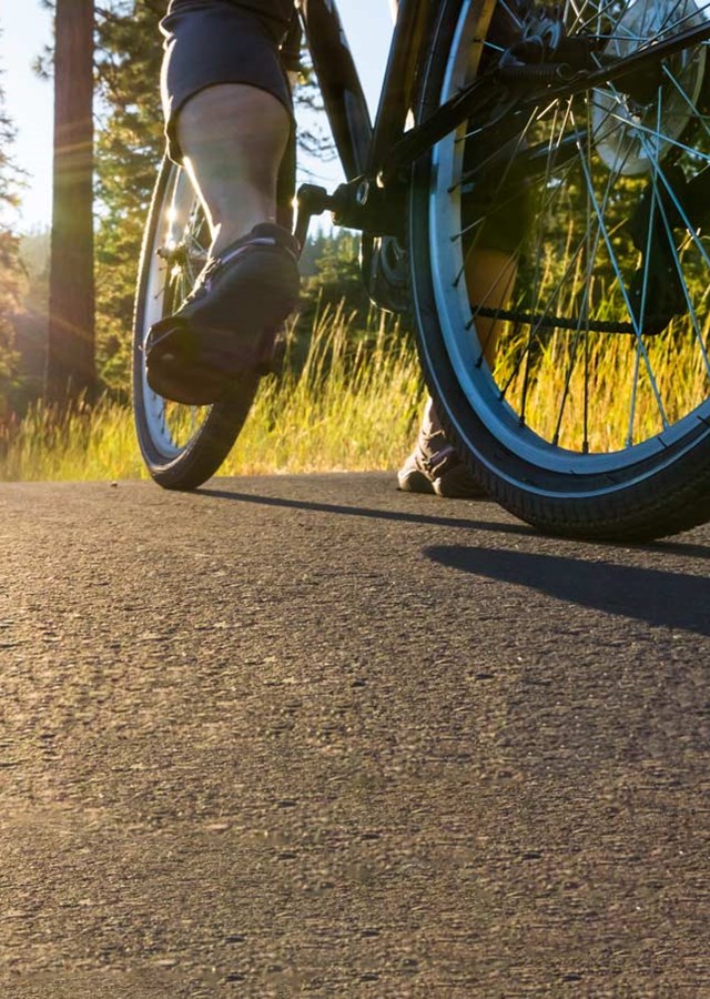 Cyclist riding down tarmac road through woodlands and forest
